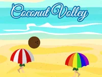 image Coconut Volley